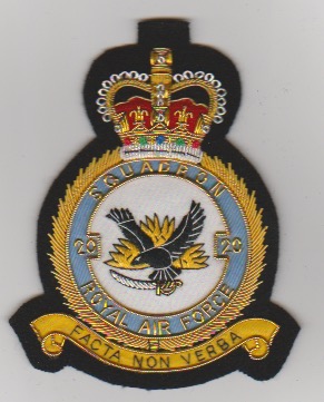 20 Squadron Queen's Crown RAF blazer badge - Click Image to Close